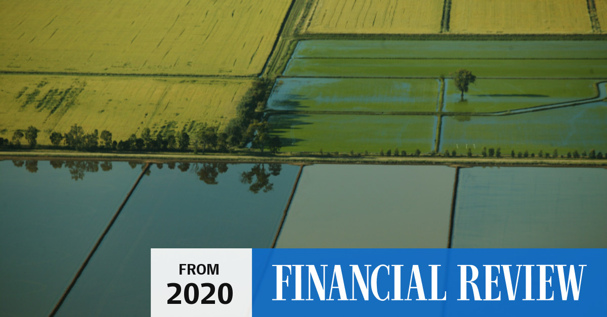 Farmland prices surged in 2019 and will rise again